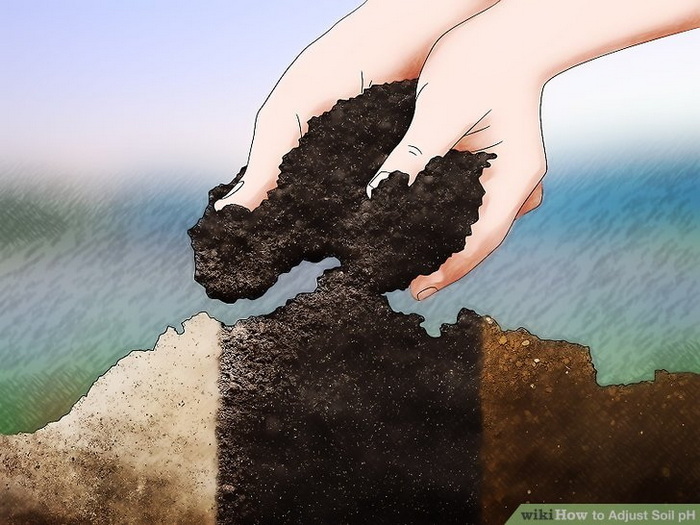 خدمات تقویت و اصلاح خاک برای افزایش محصول تنظیم PH